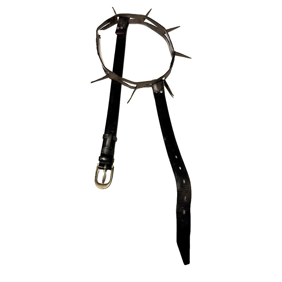 Collier à pointes pour chien de berger