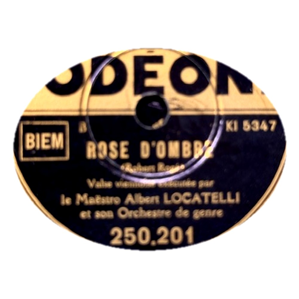 « Rose d'ombre » – Albert Locatelli
